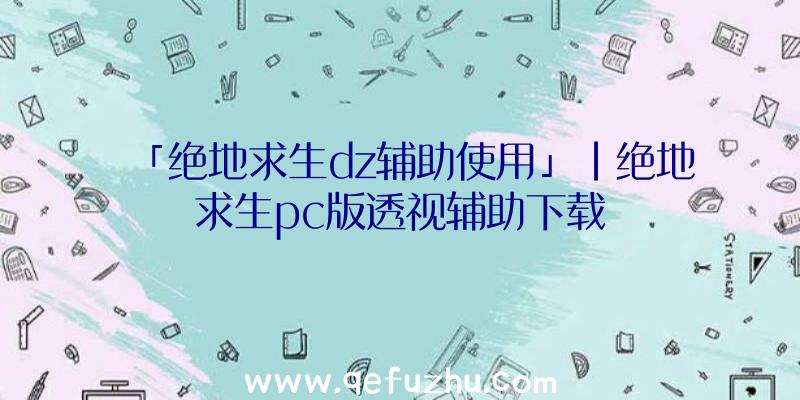 「绝地求生dz辅助使用」|绝地求生pc版透视辅助下载